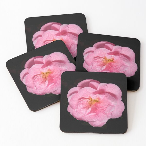 Item preview, Camellia in Bloom designed and sold by AdvancedPhotons.
