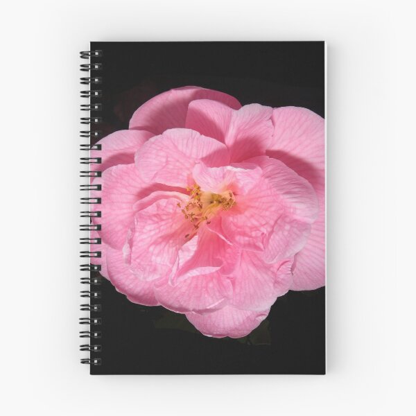 Item preview, Camellia in Bloom designed and sold by AdvancedPhotons.