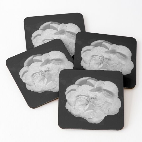 Item preview, Camellia bloom (monochrome version) designed and sold by AdvancedPhotons.
