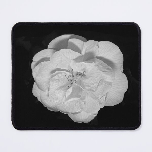 Item preview, Camellia bloom (monochrome version) designed and sold by AdvancedPhotons.