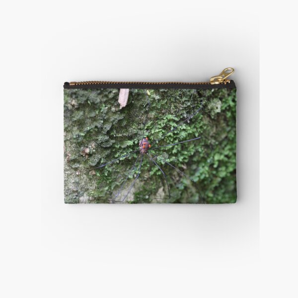 Item preview, Spider designed and sold by johnnycuervo.