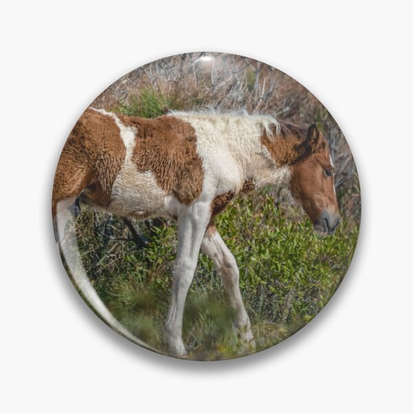 Item preview, Assateague Island Horse designed and sold by Leslie Banks.