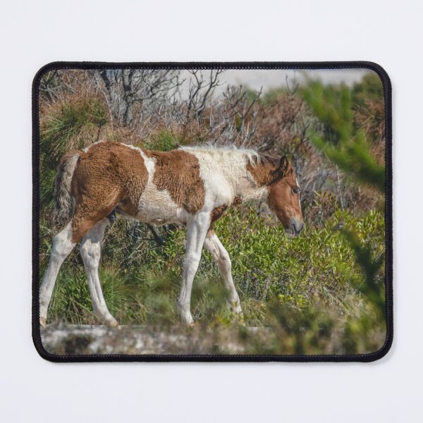 Item preview, Assateague Island Horse designed and sold by Leslie Banks.