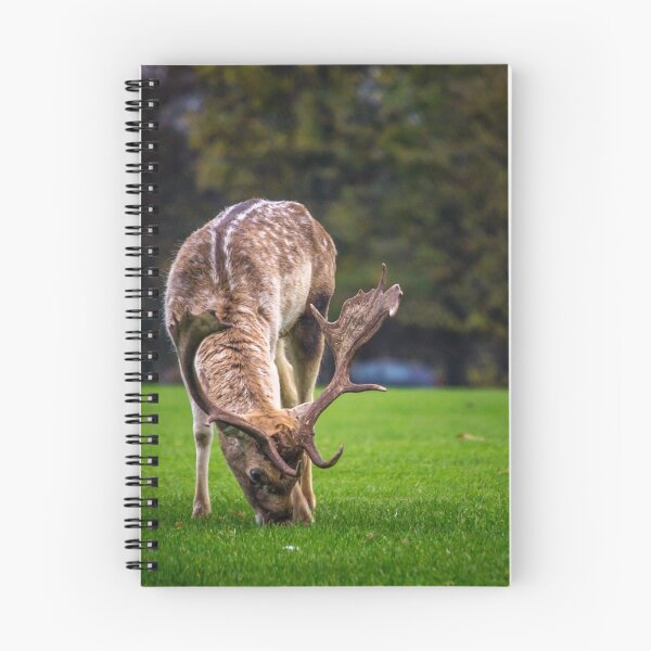 Item preview, Deers of Dublin 1 designed and sold by PersiPrints.