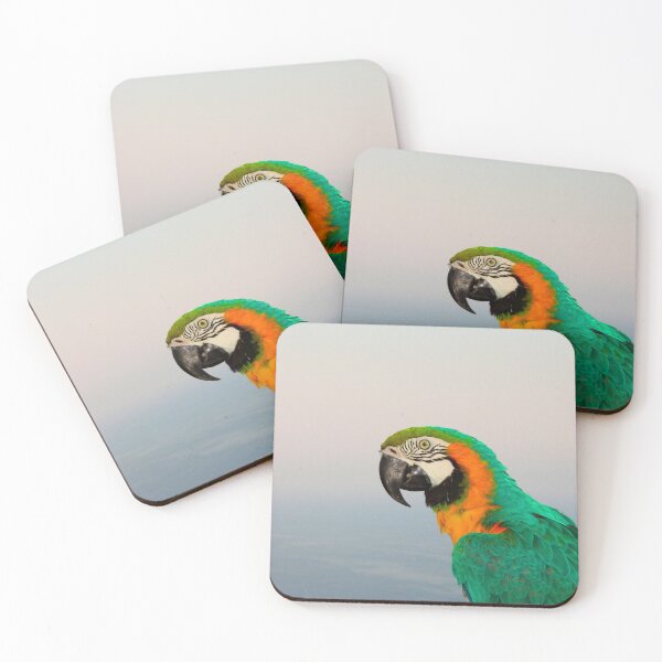 Item preview, parrot photo with high resolution quality designed and sold by Allyouneed-2.