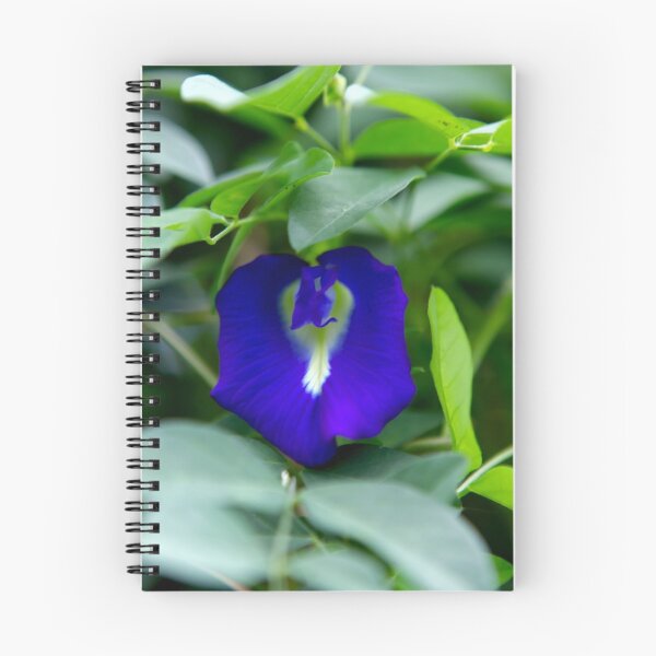 Item preview, Blue Flower designed and sold by 104paul.