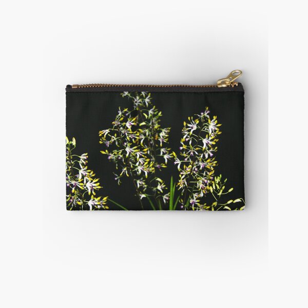 Item preview, Dendrobium canaliculatum designed and sold by andrachne.