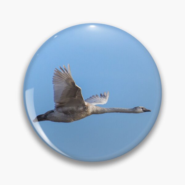 Item preview, Swan In Flight! designed and sold by LaurenTucker.