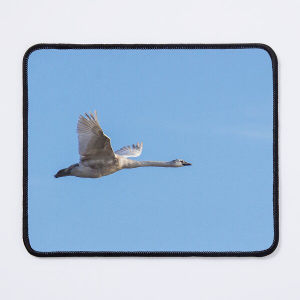 Item preview, Swan In Flight! designed and sold by LaurenTucker.