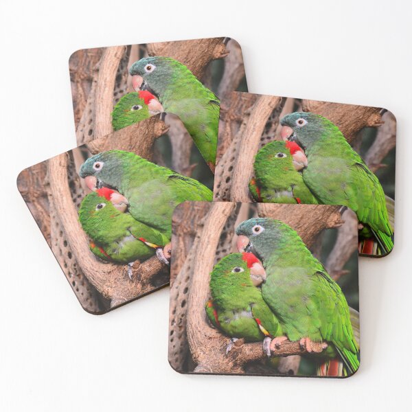 Item preview, parrot photo with high resolution quality designed and sold by Allyouneed-2.