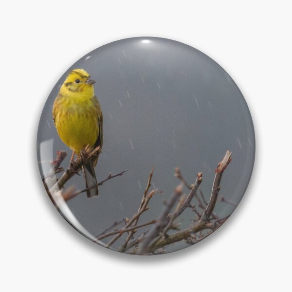 Item preview, Yellowhammer - Emberiza Citrinella designed and sold by LaurenTucker.