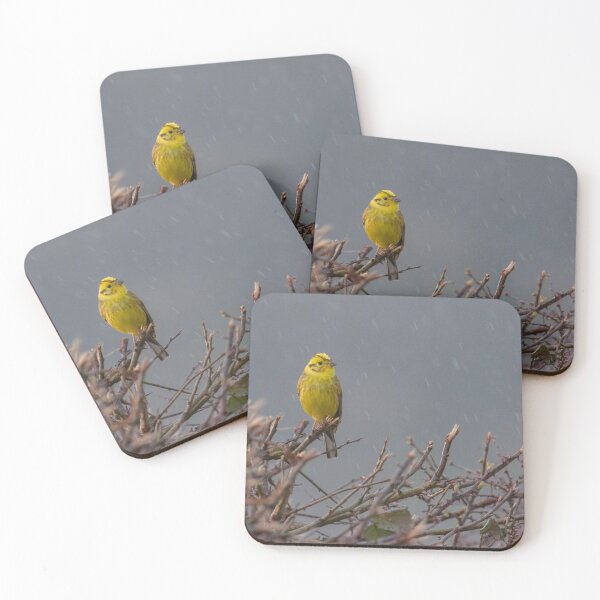 Item preview, Yellowhammer - Emberiza Citrinella designed and sold by LaurenTucker.