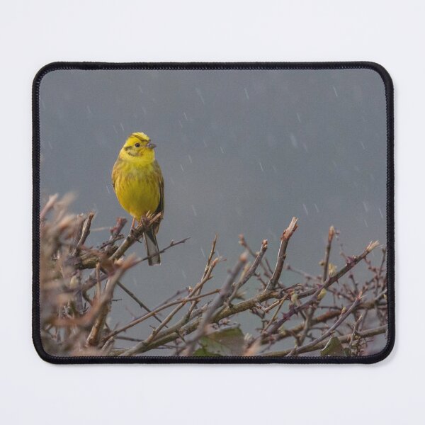 Item preview, Yellowhammer - Emberiza Citrinella designed and sold by LaurenTucker.