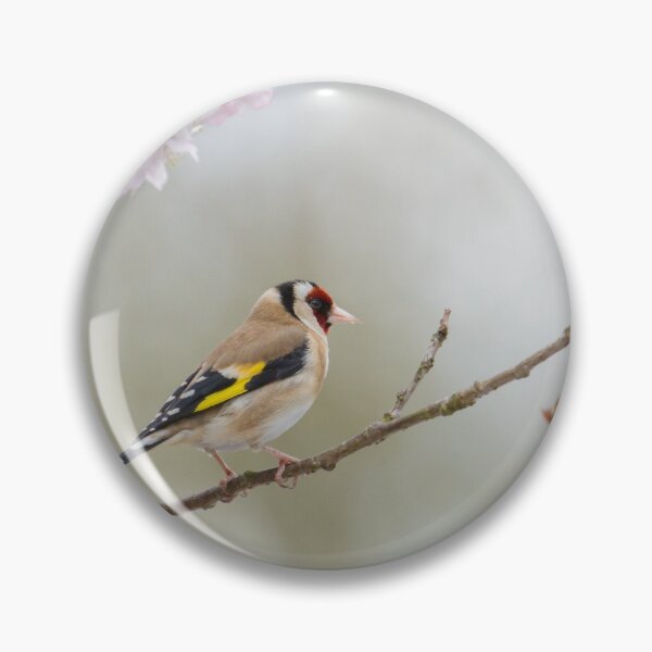 Item preview, Goldfinch - Carduelis carduelis designed and sold by LaurenTucker.