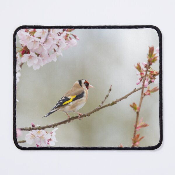 Item preview, Goldfinch - Carduelis carduelis designed and sold by LaurenTucker.