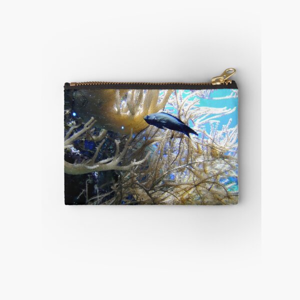 Item preview, Aquarium designed and sold by Barnbk02.