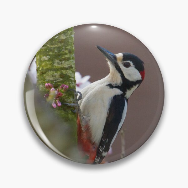 Item preview, Greater Spotted Woodpecker - Dendrocopos major designed and sold by LaurenTucker.