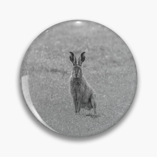 Item preview, Hare - Lepus designed and sold by LaurenTucker.