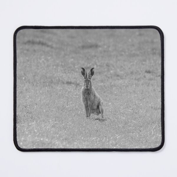 Item preview, Hare - Lepus designed and sold by LaurenTucker.