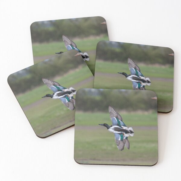 Item preview, Shoveler - Anas clypeata designed and sold by LaurenTucker.