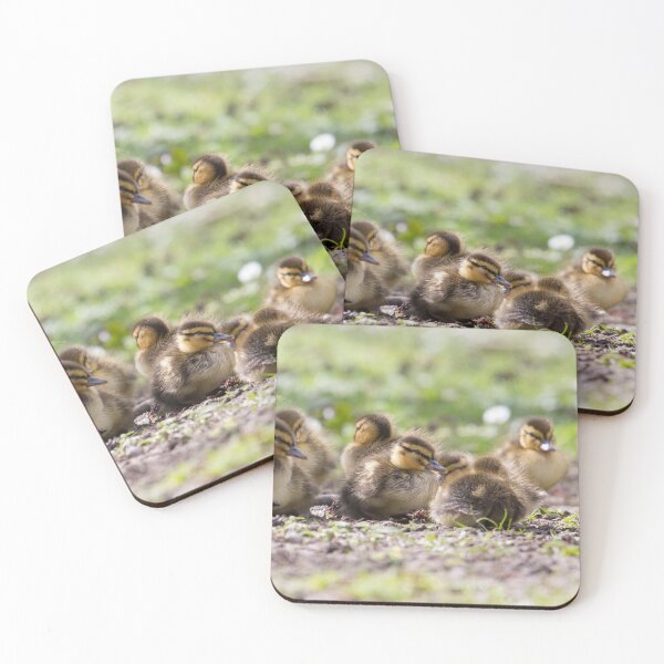 Item preview, Mallard - Anas platyrhynchos designed and sold by LaurenTucker.
