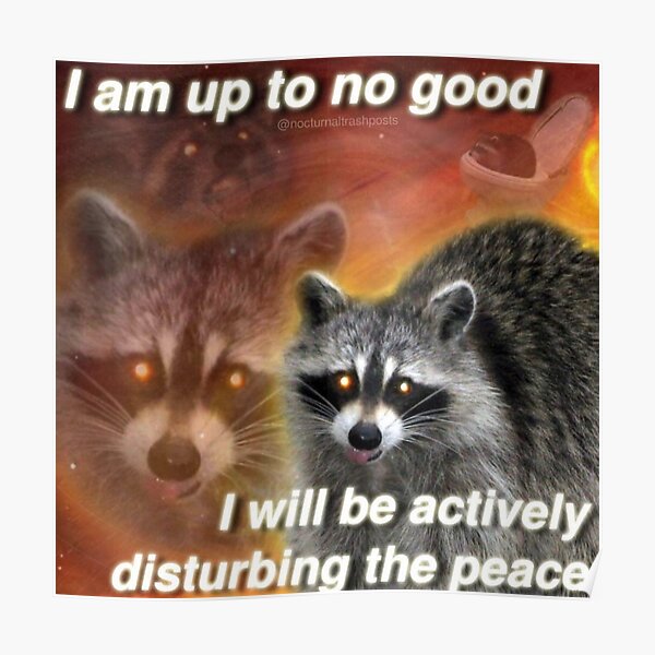 Menace to raccoon society Poster