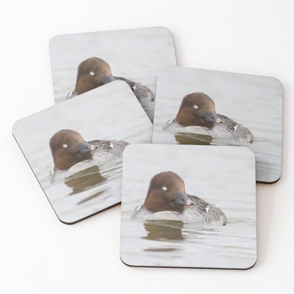Item preview, Goldeneye - Bucephala clangula designed and sold by LaurenTucker.