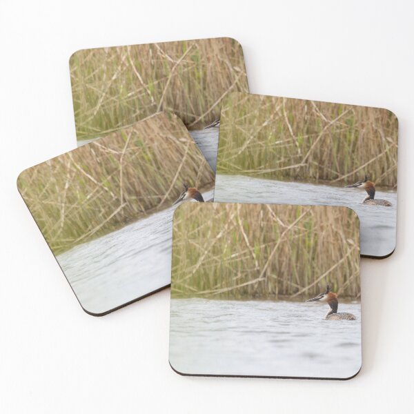 Item preview, Great Crested Grebe - Podiceps cristatus designed and sold by LaurenTucker.
