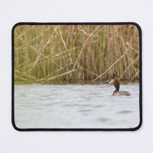 Item preview, Great Crested Grebe - Podiceps cristatus designed and sold by LaurenTucker.