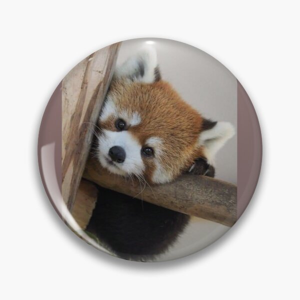 Item preview, Animals  designed and sold by Dreamer02.