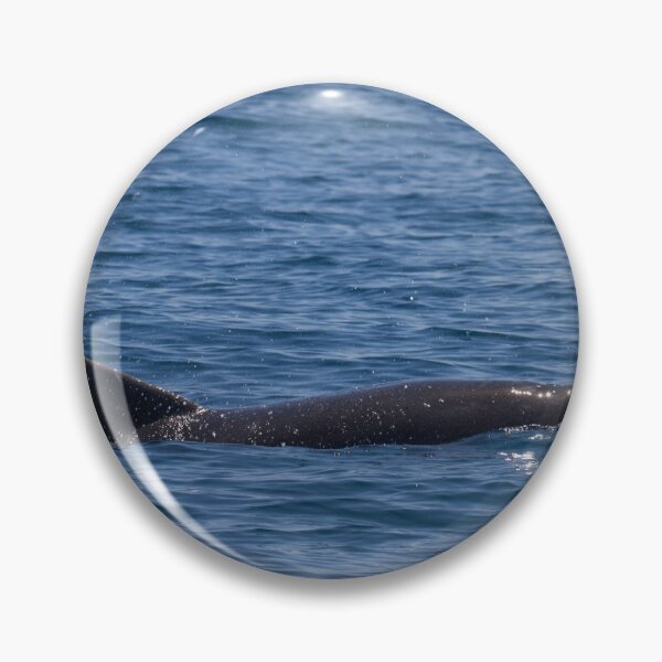Item preview, Bottlenose Dolphin designed and sold by LaurenTucker.