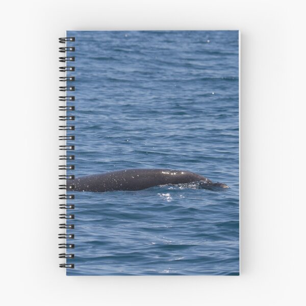 Item preview, Bottlenose Dolphin designed and sold by LaurenTucker.