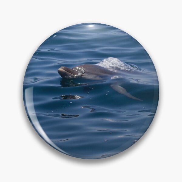 Item preview, Bottlenose Dolphin designed and sold by LaurenTucker.