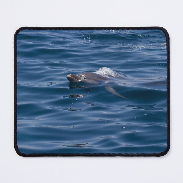 Item preview, Bottlenose Dolphin designed and sold by LaurenTucker.
