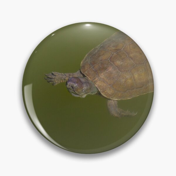 Item preview, Pond Turtle designed and sold by LaurenTucker.