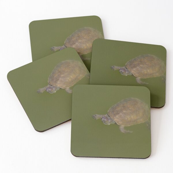 Item preview, Pond Turtle designed and sold by LaurenTucker.