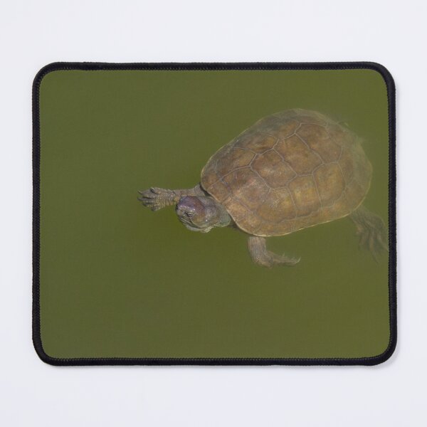 Item preview, Pond Turtle designed and sold by LaurenTucker.