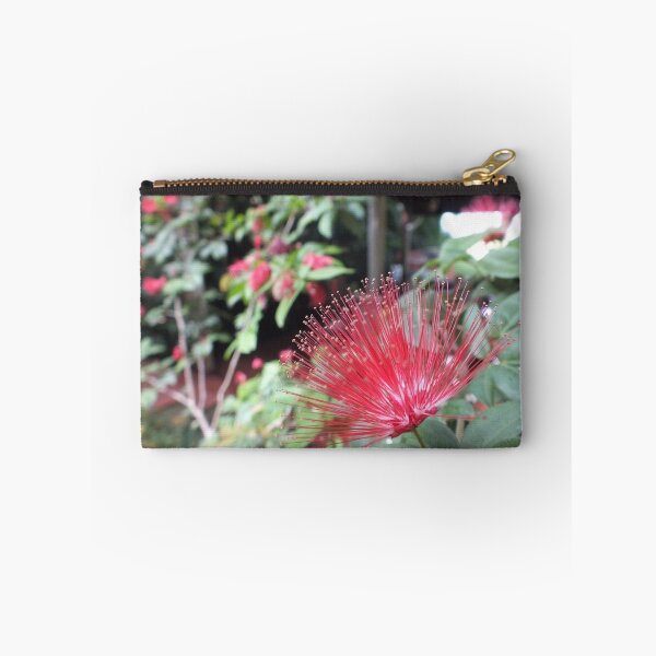Item preview, The Starburst Plant designed and sold by LeaGerard.