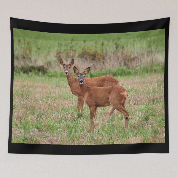 Item preview, Ladys together. Roe deer designed and sold by Jouko Lehto Photography.