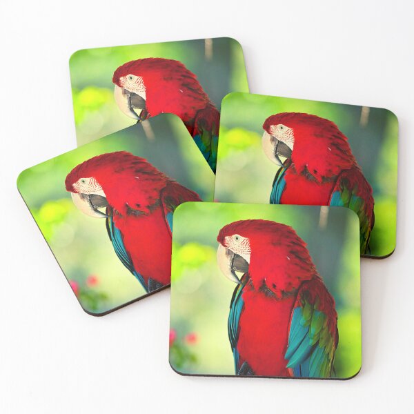 Item preview, parrot photo with high resolution quality designed and sold by Allyouneed-2.