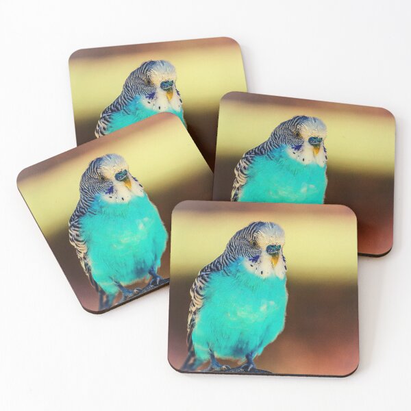 Item preview, parrot photo with high resolution quality designed and sold by Allyouneed-2.