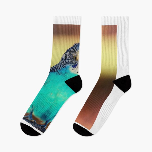 Item preview, parrot photo with high resolution quality designed and sold by Allyouneed-2.