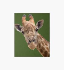 Funny giraffe Art Board