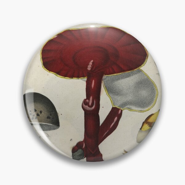 Item preview, Mushrooms from Berge's Giftpflanzenbuch (Red Print) designed and sold by Lloyd Library & Museum.