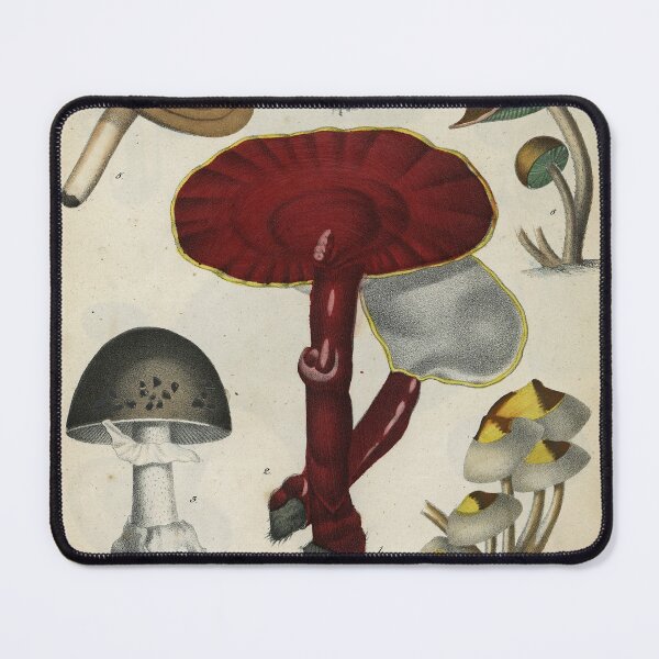 Item preview, Mushrooms from Berge's Giftpflanzenbuch (Red Print) designed and sold by Lloyd Library & Museum.