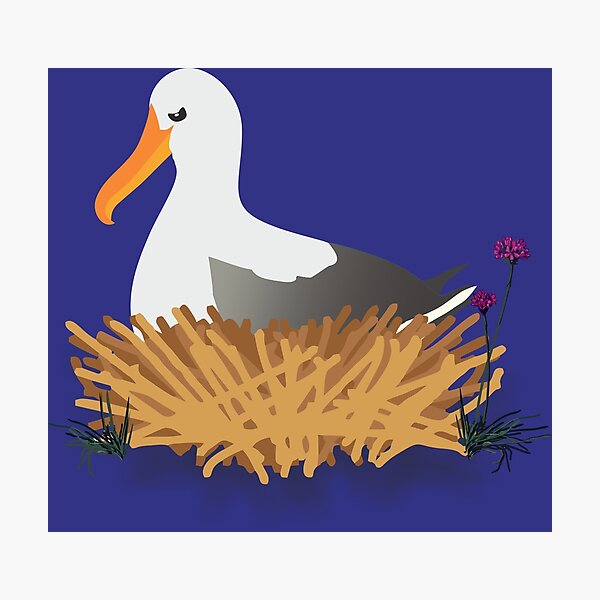 Item preview, Nesting Albatross designed and sold by Mintycanopy.