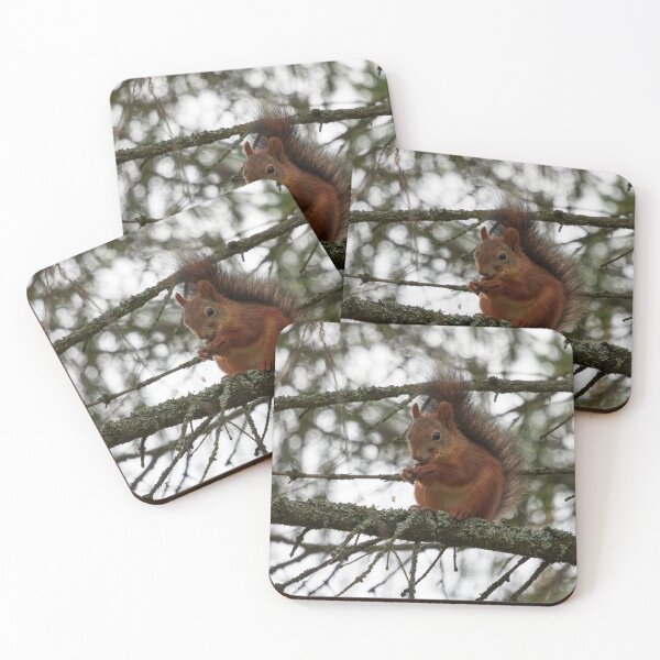 Item preview, The Cone lover. Red squirrel designed and sold by Jouko Lehto Photography.