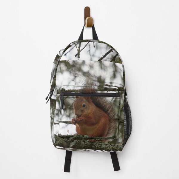 Item preview, The Cone lover. Red squirrel designed and sold by Jouko Lehto Photography.