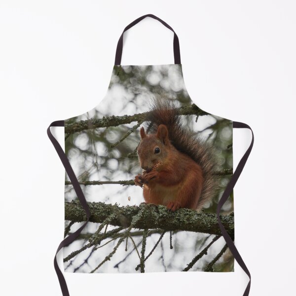 Item preview, The Cone lover. Red squirrel designed and sold by Jouko Lehto Photography.