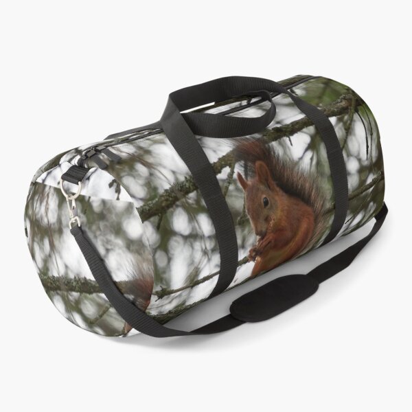 Item preview, The Cone lover. Red squirrel designed and sold by Jouko Lehto Photography.